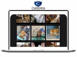 Satish Prajapati – Native Ads Download